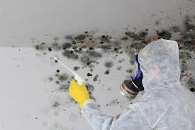 Why You Should Choose Our Mold Remediation Services in Gresham, OR